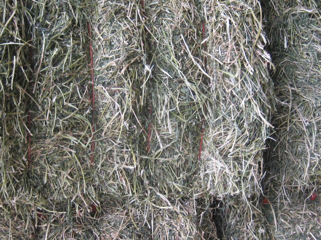 bundled hay bales close up