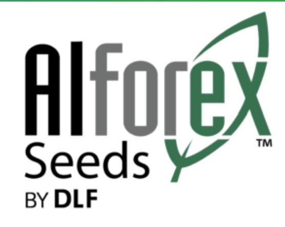 Alforex Seeds by DLF logo effective 2024