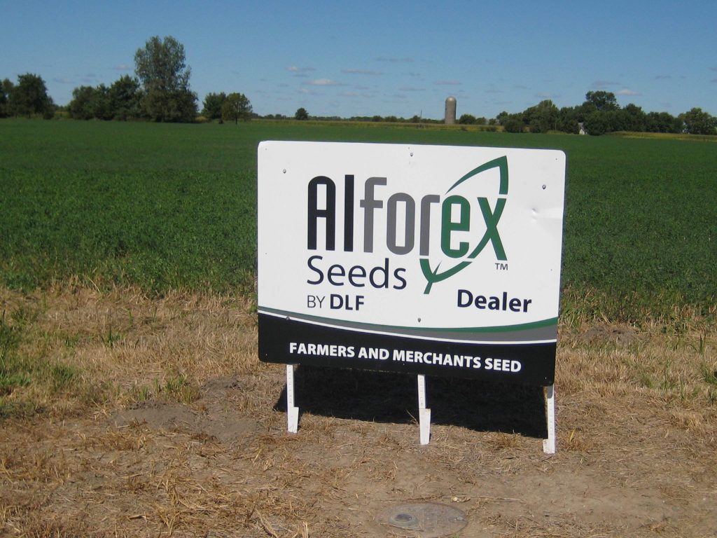 Field sign that says "Alforex Seeds by DLF, Dealer"